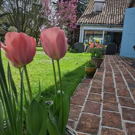 Domaine Du Tafiart Maison Complete Holiday home